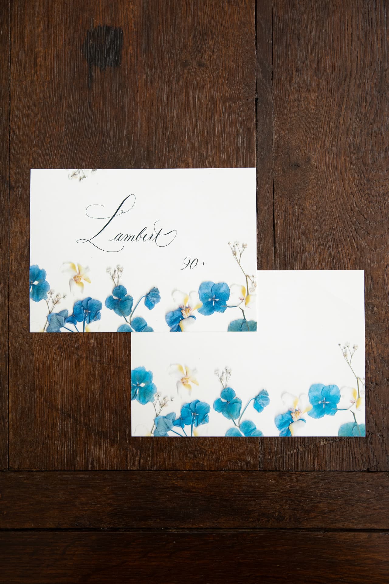 Jardin Violet - Hydrangea