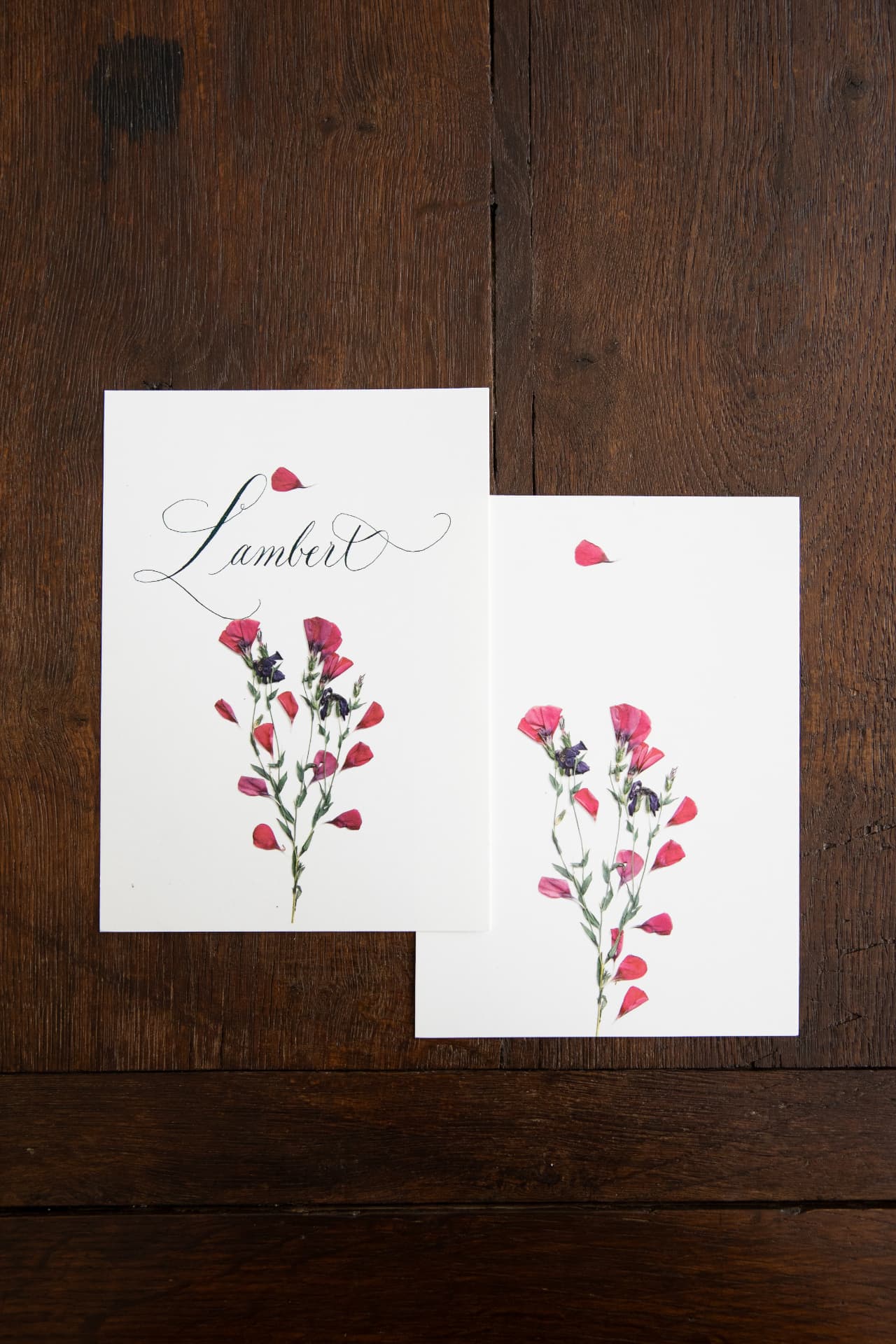 Jardin Violet - Sweet Pea